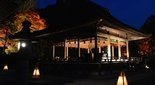 出雲大神宮（京都）紅葉ライトアップ