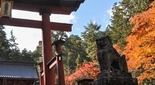 紅葉の綺麗な神社 北口本宮浅間神社