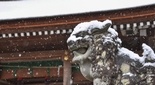 雪の出雲大神宮