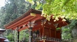 新緑の綺麗な神社 北口浅間神社