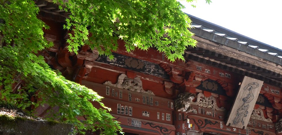 新緑の綺麗な神社 北口浅間神社