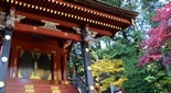 紅葉の綺麗な神社 北口浅間神社