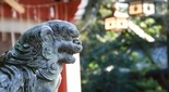 久伊豆神社（埼玉県越谷市）