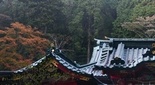 箱根神社の紅葉