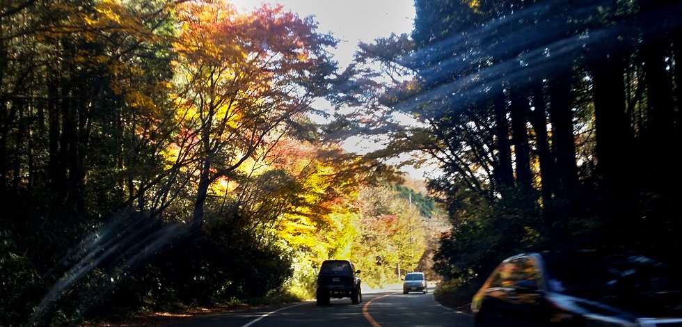 箱根の紅葉 富士山の見える日帰り温泉 箱根 龍宮殿 口コミ オススメ 平成29年11月27日 遊佐敏哉 開運フレンドブック 箱根の紅葉 富士山の見える日帰り温泉 箱根 龍宮殿 口コミ オススメ 平成29年11月27日 遊佐敏哉 開運フレンドブック