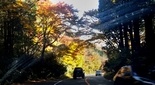 ̍gt