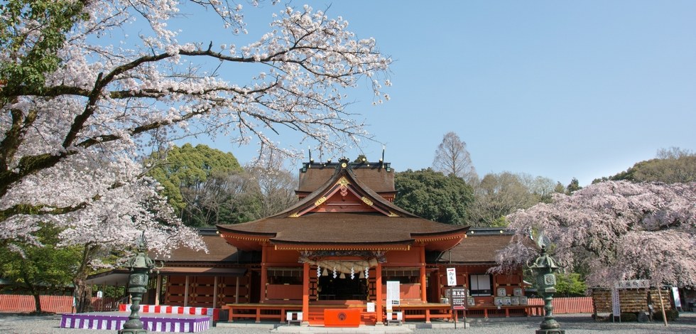 桜の綺麗な神社 富士山本宮浅間大社