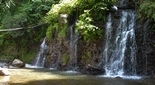 瀧川神社の横の滝（静岡県三島市）