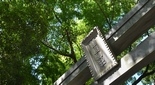 曽屋神社 二の鳥居