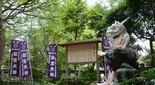 金運アップの神 江島神社の龍神 白龍
