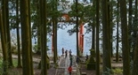 箱根神社 芦ノ湖の鳥居