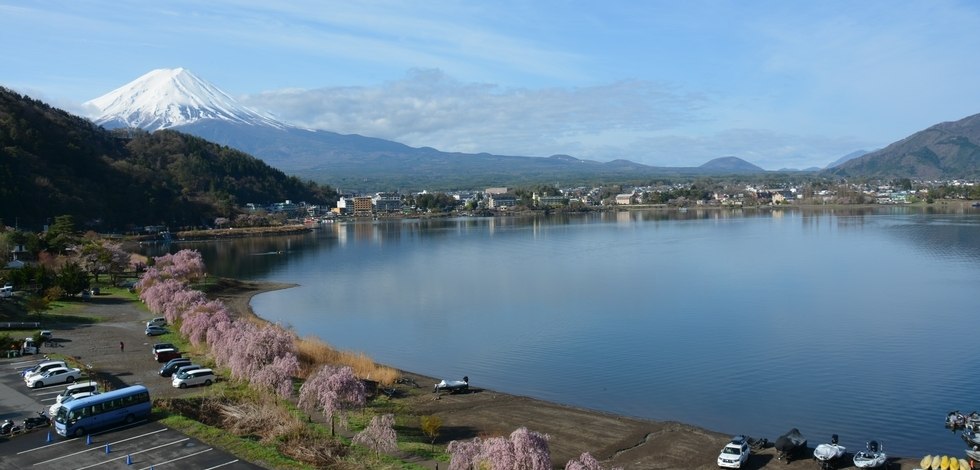 ホテル客室からの写真　富士山、河口湖、桜