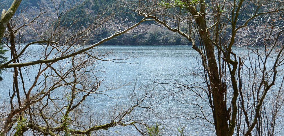 白龍神社前の芦ノ湖