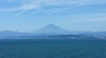 江ノ島 ランチ 海が見える