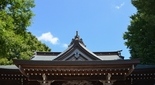 オオヤマクイ 神奈川県平塚市 岡崎神社
