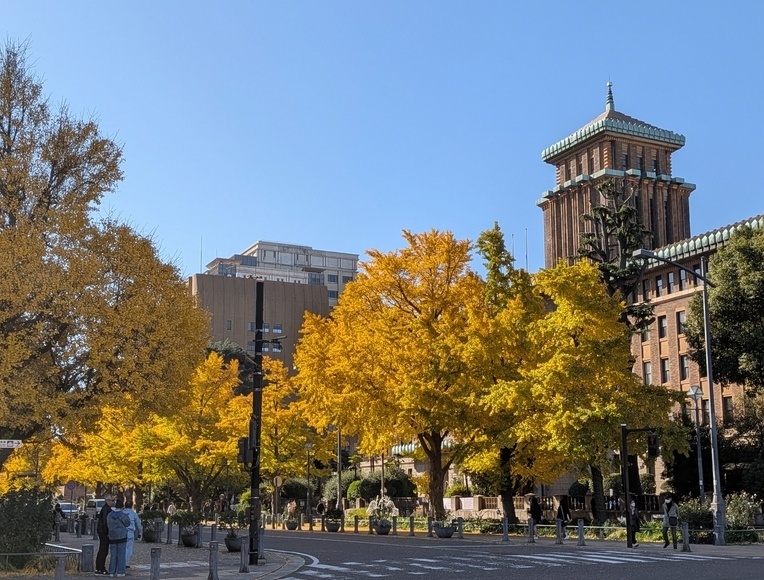 ���{��ʂ�̃C�`���E���؂̍g�t �C�ݒʂ��