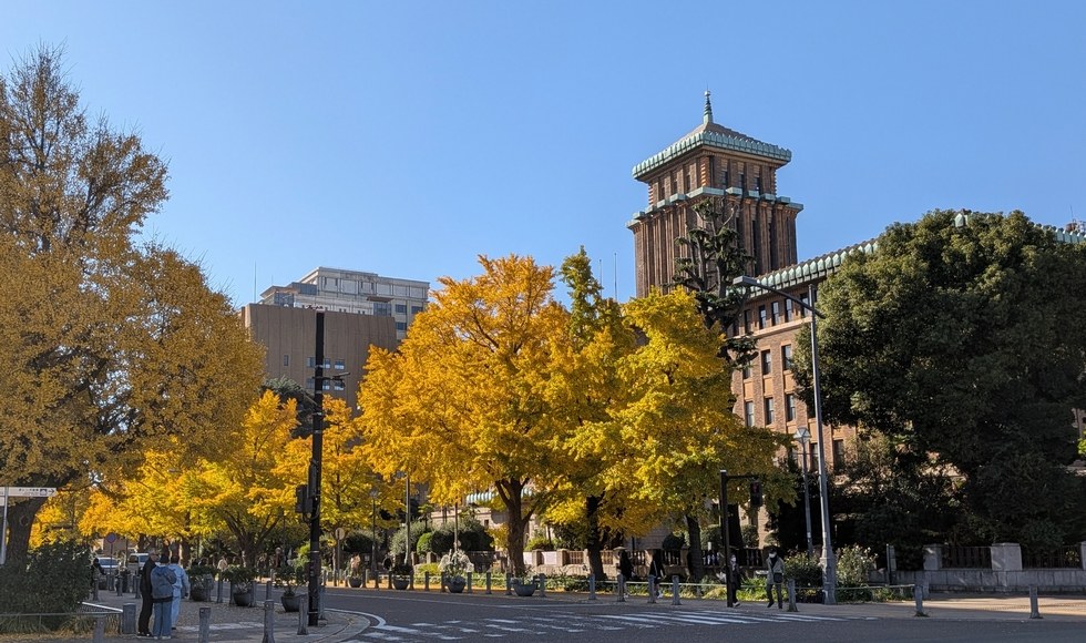 ���{��ʂ�̃C�`���E���؂̍g�t �C�ݒʂ��