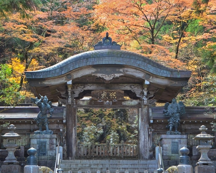 ���A�a�\�h�E�H�[�L���O ������