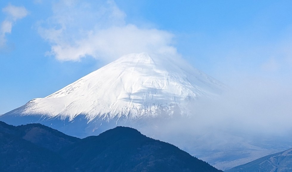 �x�m�R��������J�^�X�|�b�g ���c�R�n�[�u�K�[�f��