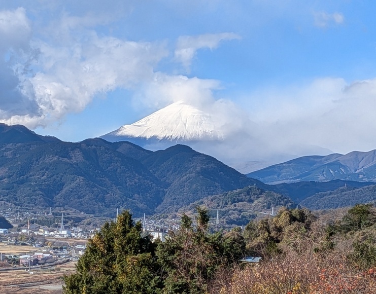 ���c�� ���A�a�\�h�E�H�[�L���O �n�[�u�K�[�f��