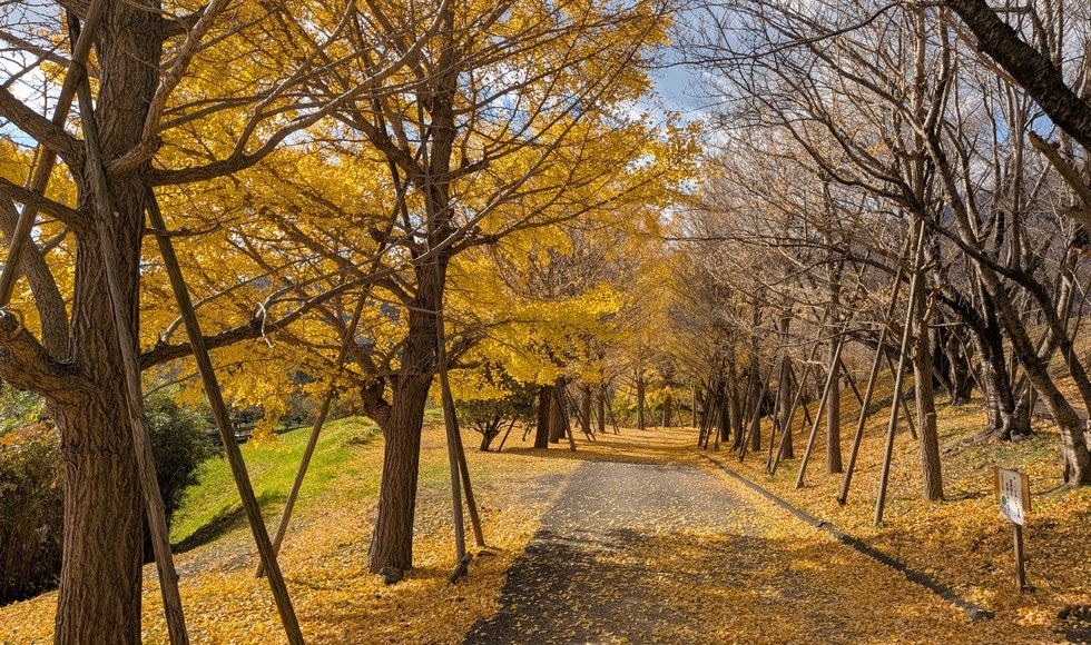 ���A�a�\�h�E�H�[�L���O �ɐ����s