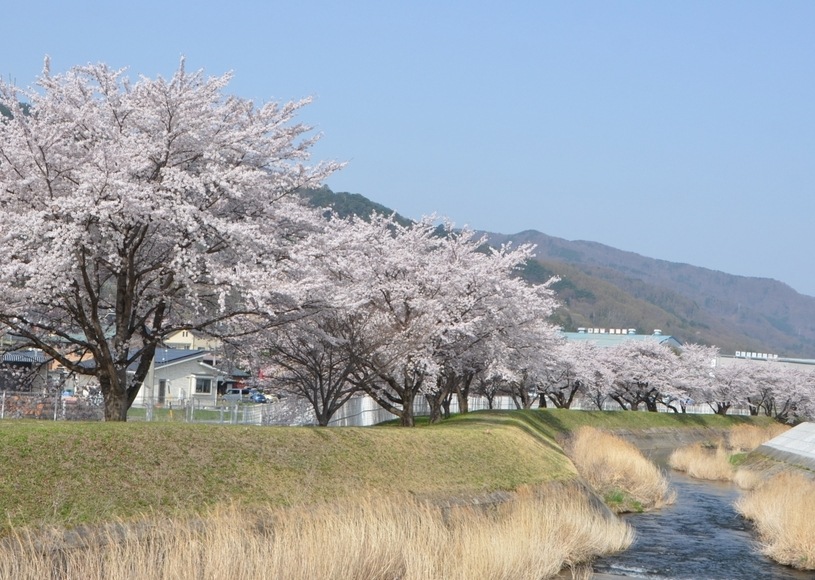 s{쉈̍ J