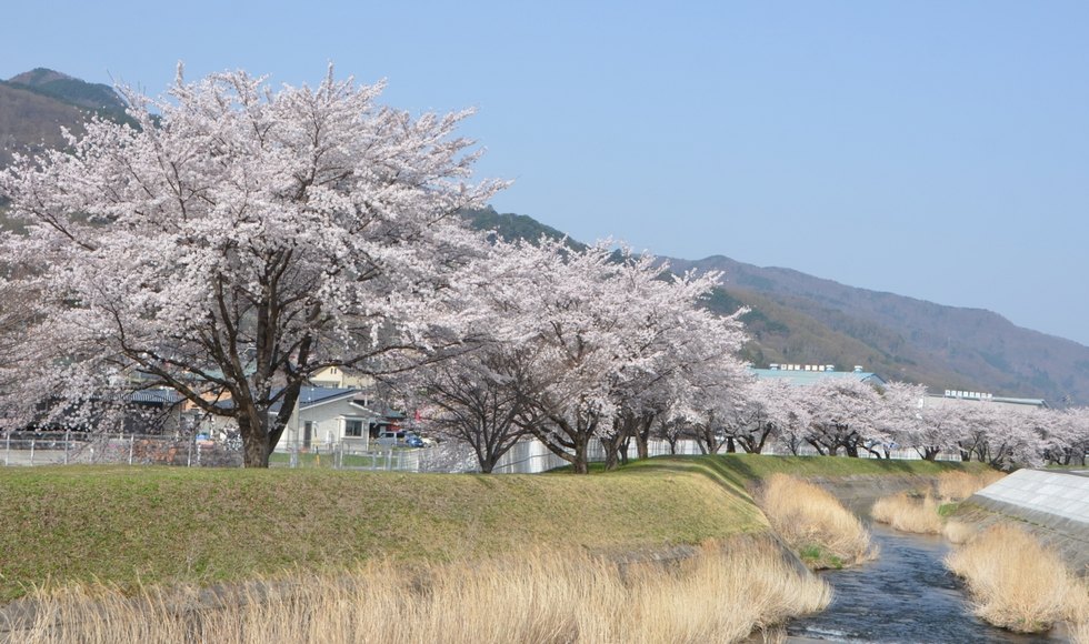s{쉈̍ J
