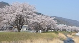 s{쉈̍ J