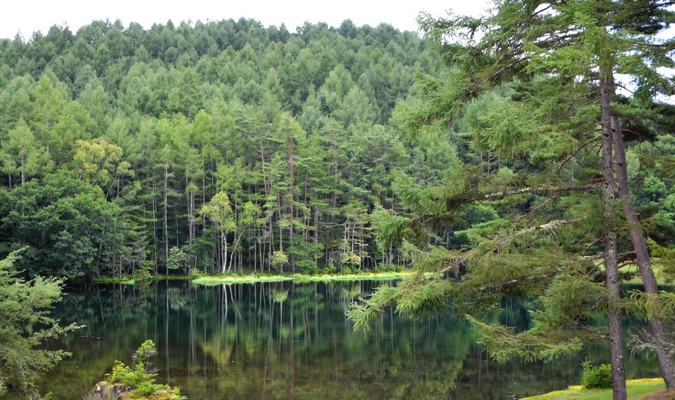 ��ˎ��r�̃x�X�g�V�[�Y���͂��ł���