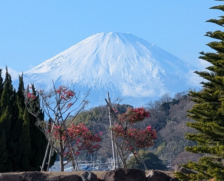 �J�^ �x�m�R ���v�����X�z�e��