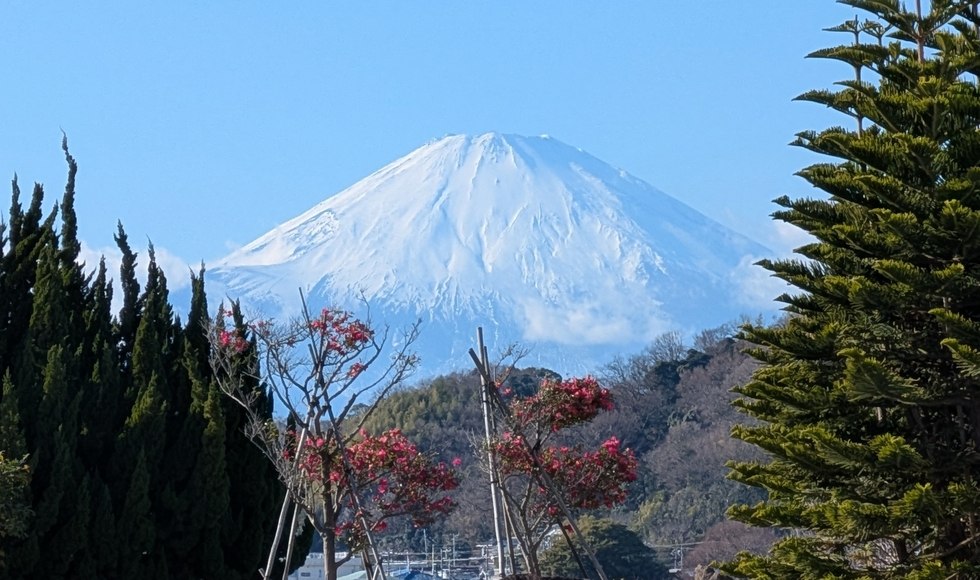 �J�^ �x�m�R ���v�����X�z�e��