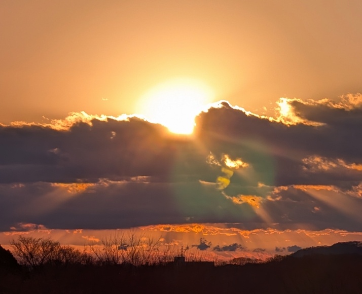 2026 �J�^ �����̏o �`��s