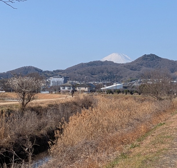 �J�^ ���肪�Ƃ��E�H�[�L���O �`�� �卪��