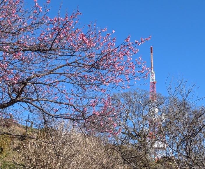 ���A�a�\�h�E�H�[�L���O �Ó약 ����