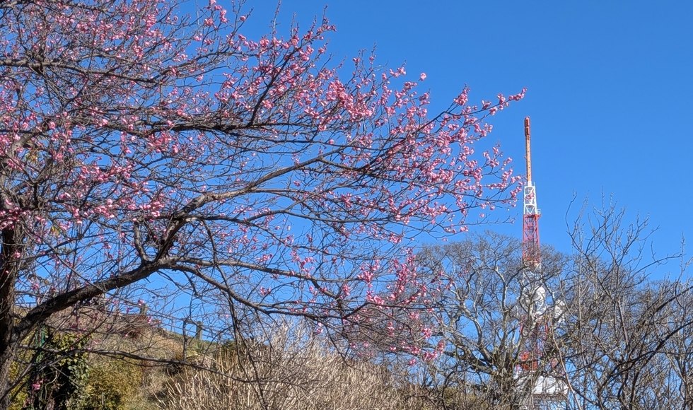 ���A�a�\�h�E�H�[�L���O �Ó약 ����