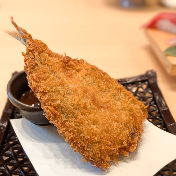 �A�W�t���C ��a�� �J�^����