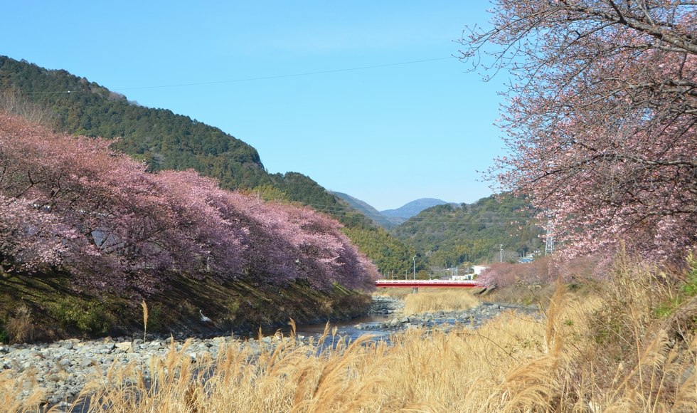 �͒Ð쉈���̍� �J�ԏ� 2026