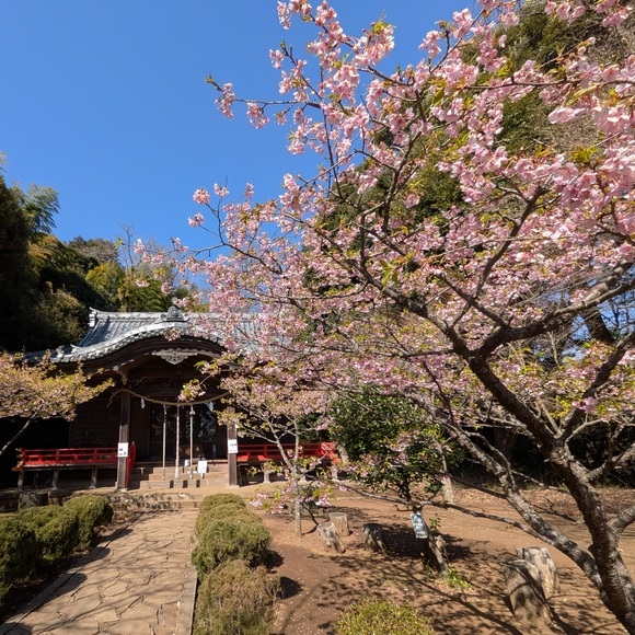 ��Ȑ_�Ђ̉͒Í� ��{��