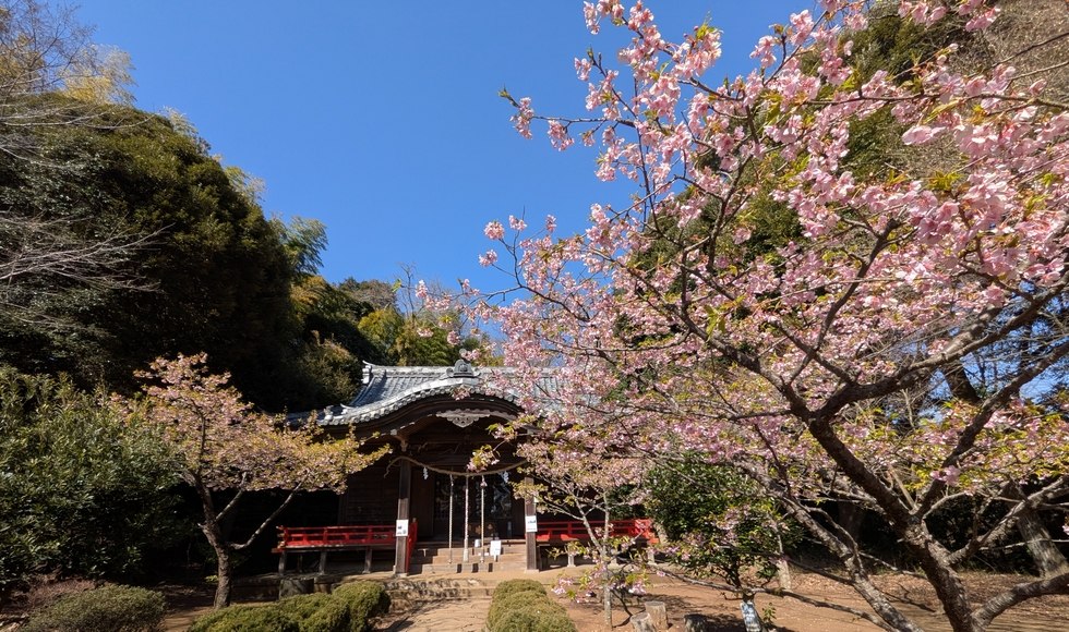 ��Ȑ_�Ђ̉͒Í� ��{��