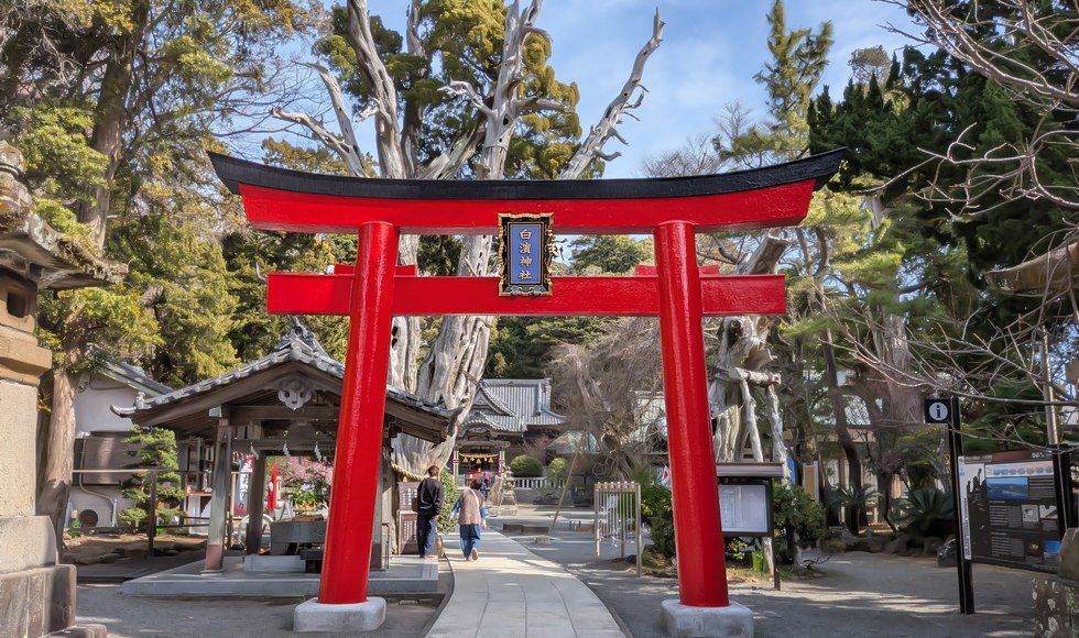 �����т̃p���[�X�|�b�g ���l�_��