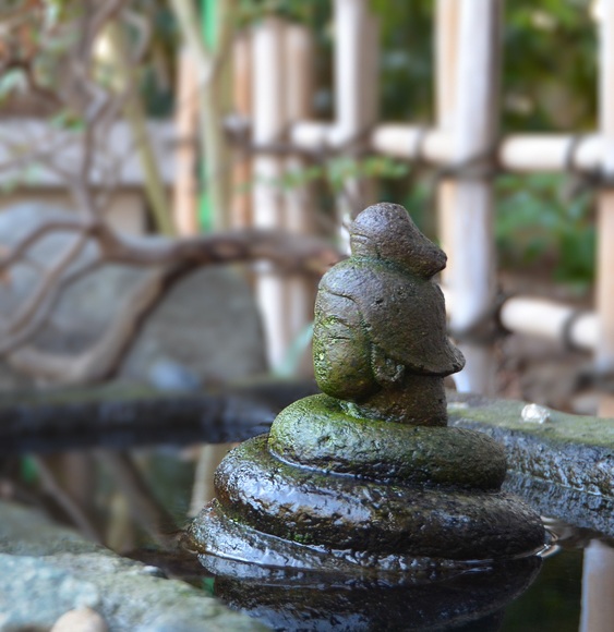 �F��_ ���� �O���_��