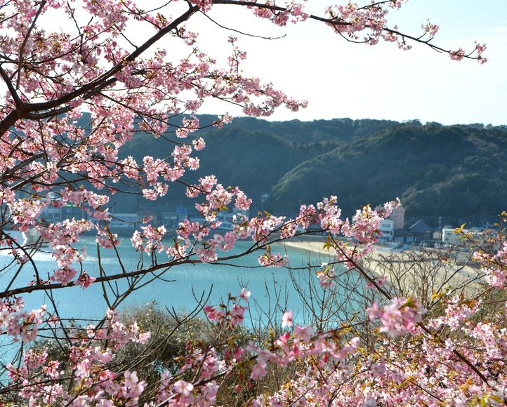 ���c�r���[�z�e���̉͒Í�