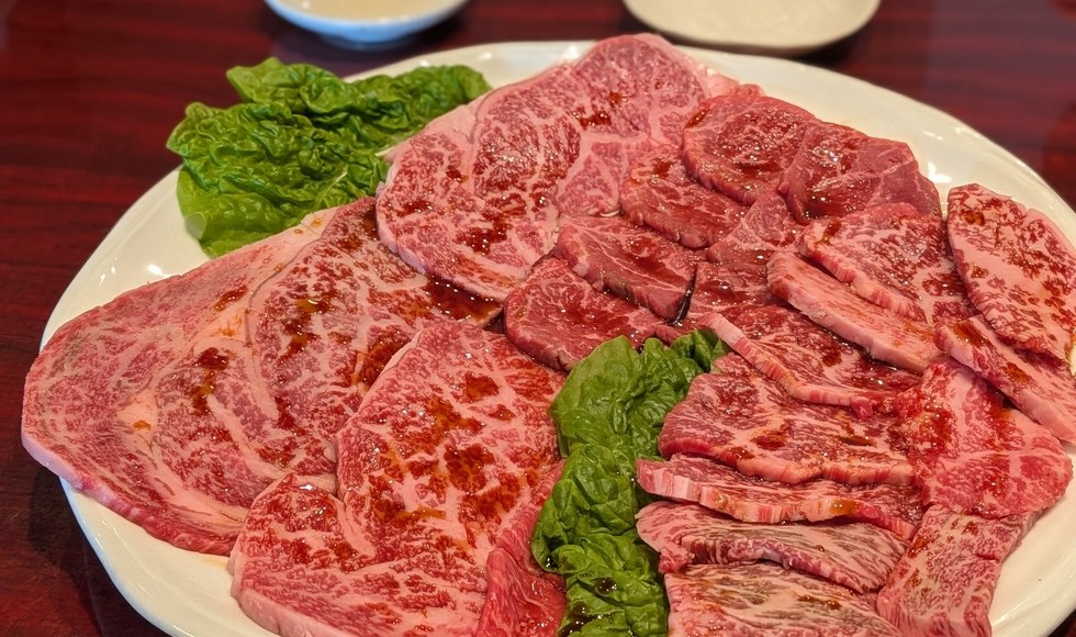 �J�^ �ē� ������