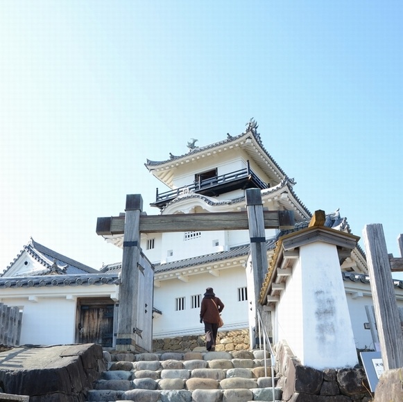 �J�^�̏� �|���