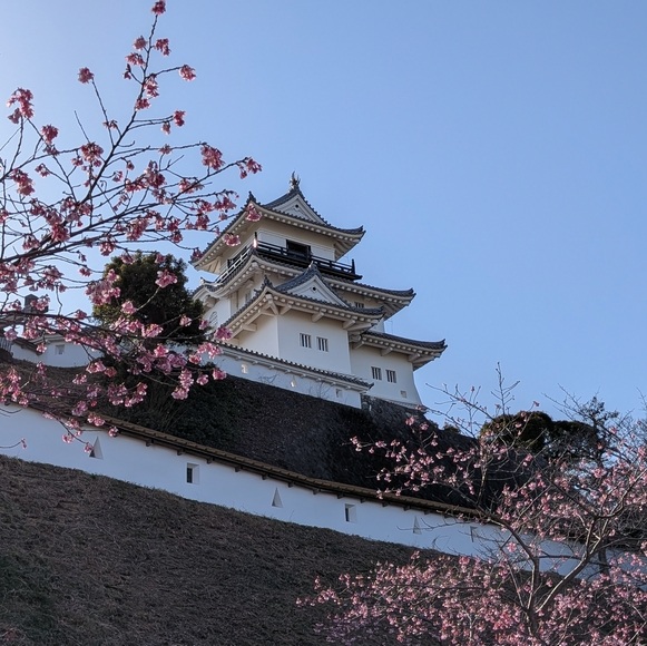 �J�^�ʐ^ �|���ƍ�