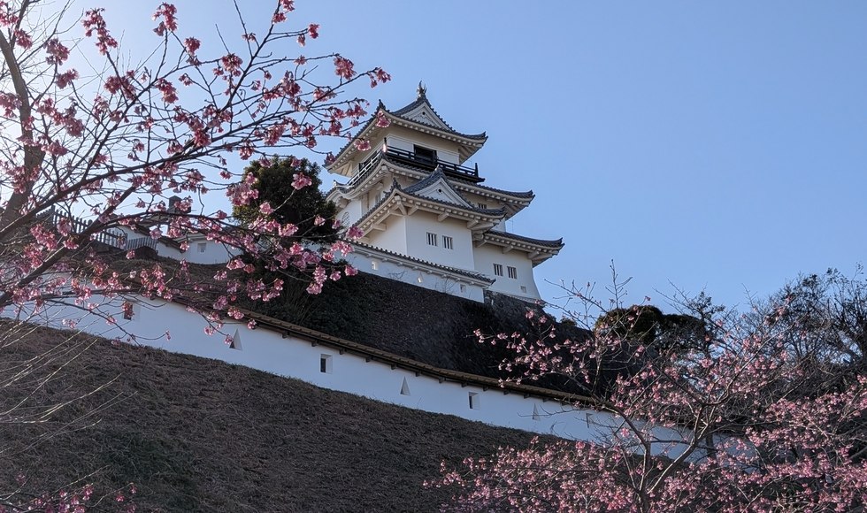 �J�^�ʐ^ �|���ƍ�