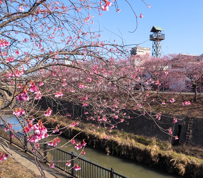 �|������J�܂ł͂��Ə���