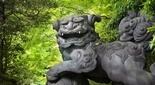 箱根神社の狛犬